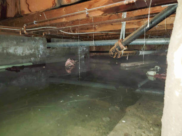  Trainer, PA Water damage restoration Pros
