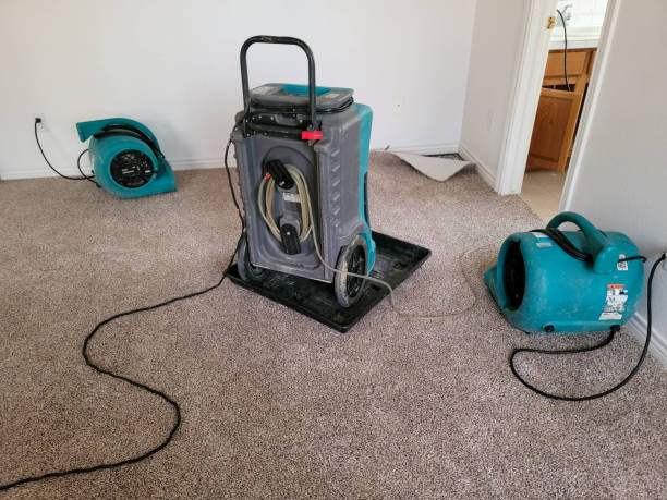 Best Water damage restoration near me  in Trainer, PA