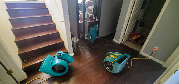 Best Water damage restoration near me  in Trainer, PA