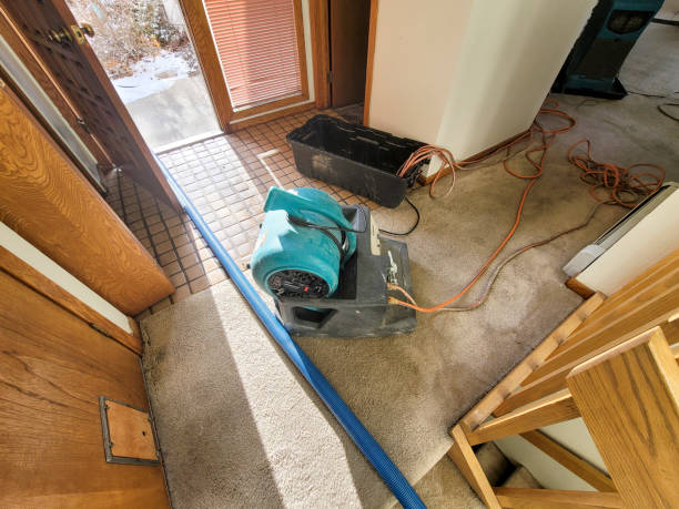 Best Local water damage restoration  in Trainer, PA