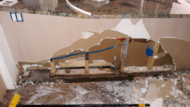 Best Commercial water damage restoration  in Trainer, PA