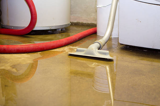 Best Ceiling water damage repair  in Trainer, PA