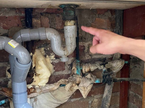 Best Basement water damage restoration  in Trainer, PA