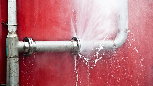 Best Flooded house restoration  in Trainer, PA